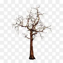 红棕色缠绕的树枝-空若网 红棕色缠绕的树枝-空若网