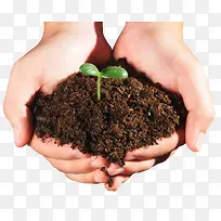 手捧种子-空若网 手捧种子-空若网