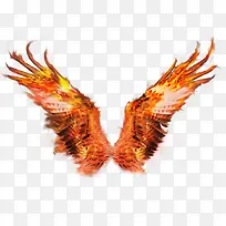 燃烧的翅膀-空若网 燃烧的翅膀-空若网