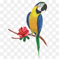 树枝上的手绘鹦鹉-空若网 树枝上的手绘鹦鹉-空若网