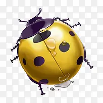 黄色七星瓢虫-空若网 黄色七星瓢虫-空若网