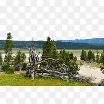 黄石公园摄影图片-空若网 黄石公园摄影图片-空若网