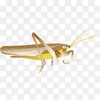 ����ʸ���ز�-������