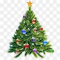 ʥ������ɫʥ����-������