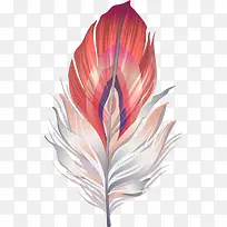 精美彩色羽毛-空若网 精美彩色羽毛-空若网