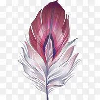 ������ɫ��ë-������