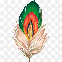 精美彩色羽毛-空若网 精美彩色羽毛-空若网