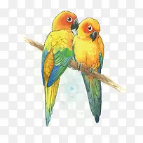 矢量鹦鹉-空若网 矢量鹦鹉-空若网