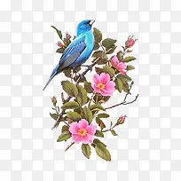 卡通手绘花鸟-空若网 卡通手绘花鸟-空若网