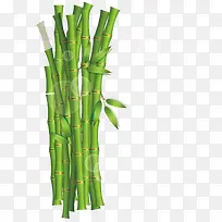 ʸ�������ز�-������