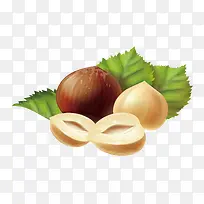 美味扁平化干果榛仁-空若网 美味扁平化干果榛仁-空若网