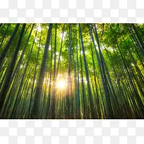 ���������չ�����-������