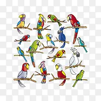 矢量鸟类素材-空若网 矢量鸟类素材-空若网