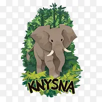 ʸÁ¿´óÏó-¿ÕÈôÍø ʸÁ¿´óÏó-¿ÕÈôÍø