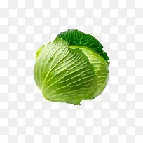 包心菜-空若网 包心菜-空若网