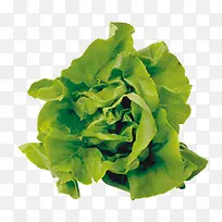 绿色蔬菜-空若网 绿色蔬菜-空若网