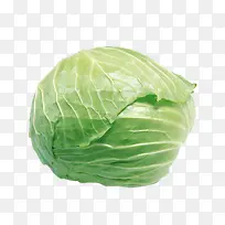 食物包心菜-空若网 食物包心菜-空若网