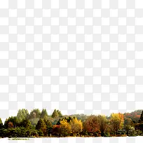 ��Ԫ��-������