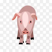 �ֻ濨ͨ�������Ӱ-������