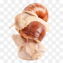 ÎÏÅ£-¿ÕÈôÍø ÎÏÅ£-¿ÕÈôÍø