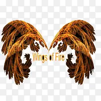 火焰翅膀-空若网 火焰翅膀-空若网