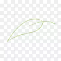 叶植物茎草-空若网 叶植物茎草-空若网