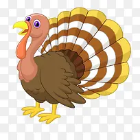 彩色卡通孔雀开屏-空若网 彩色卡通孔雀开屏-空若网