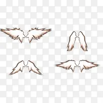 四组白色光亮效果羽翼-空若网 四组白色光亮效果羽翼-空若网