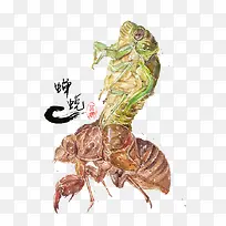 金蝉脱壳-空若网 金蝉脱壳-空若网