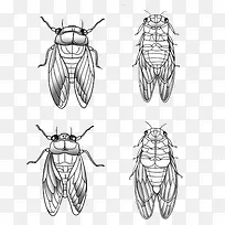 ��ֻ��ʸ��ͼ-������