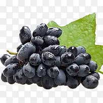 进口黑提子-空若网 进口黑提子-空若网