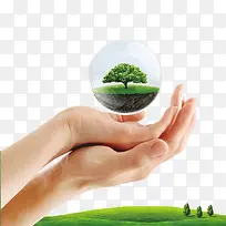 手心里的树-空若网 手心里的树-空若网