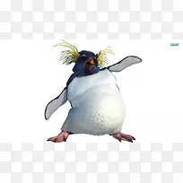 企鹅格洛丽亚咕哝着快乐的脚-快乐的脚-空若网 企鹅格洛丽亚咕哝着快乐的脚-快乐的脚-空若网