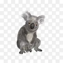 ��������-������