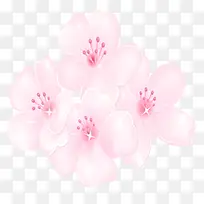 �ֻ濨ͨ�����ǵ㻨��-������