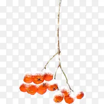 漂浮水果冬天图片-空若网 漂浮水果冬天图片-空若网