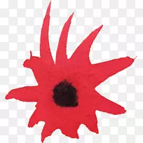 »¨»ÜË®²Ê»»¨°êË®²Ê»-¿ÕÈôÍø »¨»ÜË®²Ê»»¨°êË®²Ê»-¿ÕÈôÍø