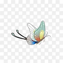 �ֻ����װ���ز�-������