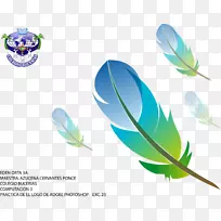 羽毛笔标志-波霍箭头-空若网 羽毛笔标志-波霍箭头-空若网