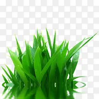 ˮ���е�Ӱ�Ĳ�-������