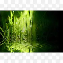 水中绿草背景-空若网 水中绿草背景-空若网