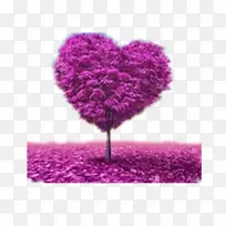 希望的树-空若网 希望的树-空若网