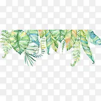 �����ɫ�廭ֲ��Ҷ��-������