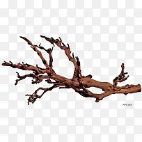 木头枯树枝-空若网 木头枯树枝-空若网