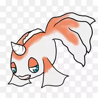 猫科面部表情鼻子胡须-锦鲤-空若网 猫科面部表情鼻子胡须-锦鲤-空若网