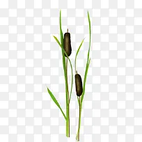 «έ-������