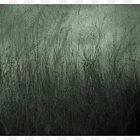 黑色芦苇背景-空若网 黑色芦苇背景-空若网