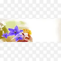 唯美花朵背景-空若网 唯美花朵背景-空若网