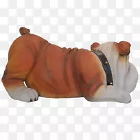 斗牛犬鼻子犬繁殖非体育团体犬-斗牛犬-空若网 斗牛犬鼻子犬繁殖非体育团体犬-斗牛犬-空若网