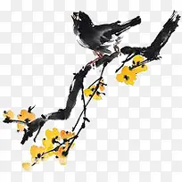 乌鸦-空若网 乌鸦-空若网